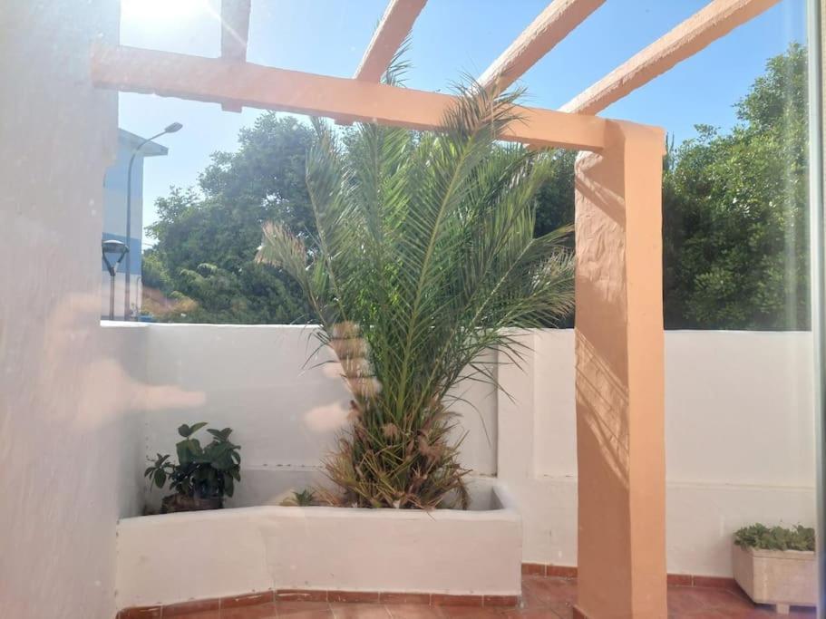 Апартаменти Piscina, Wifi, Patio Con Vistas Таріфа Екстер'єр фото