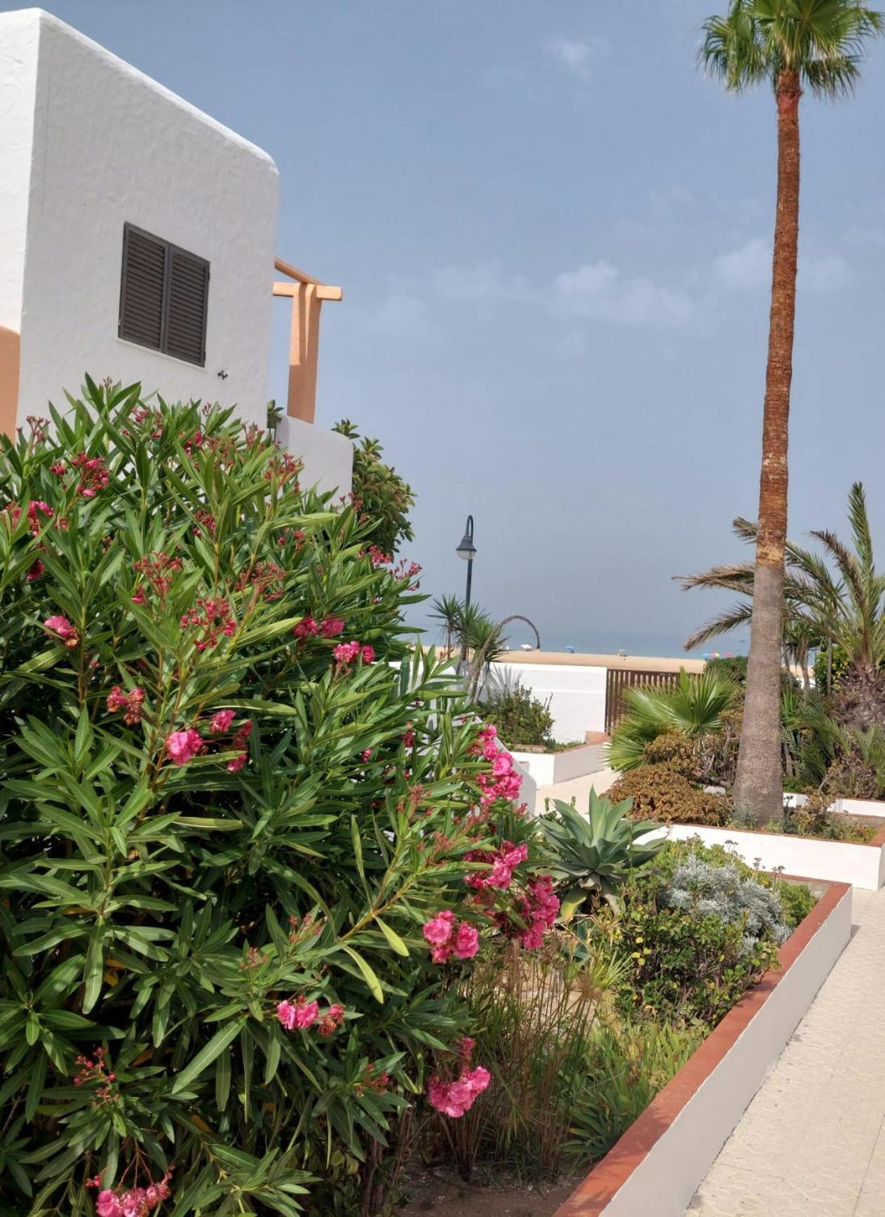 Апартаменти Piscina, Wifi, Patio Con Vistas Таріфа Екстер'єр фото